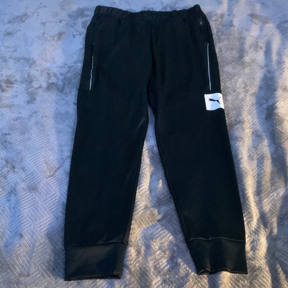 Puma Men’s DryCell (Slim Fit) Sweats/Joggers